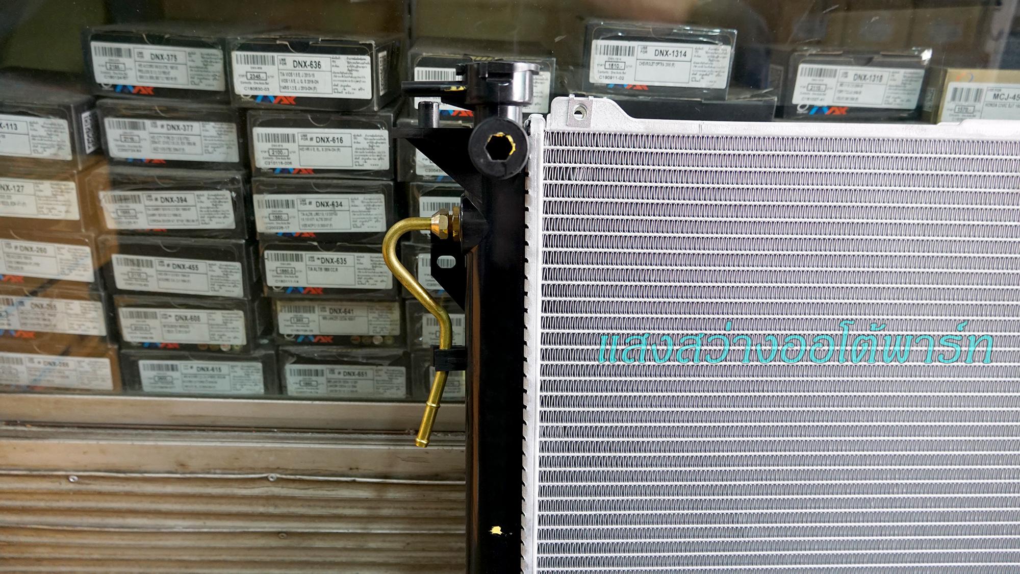 Radiator Sonata 06 (2)